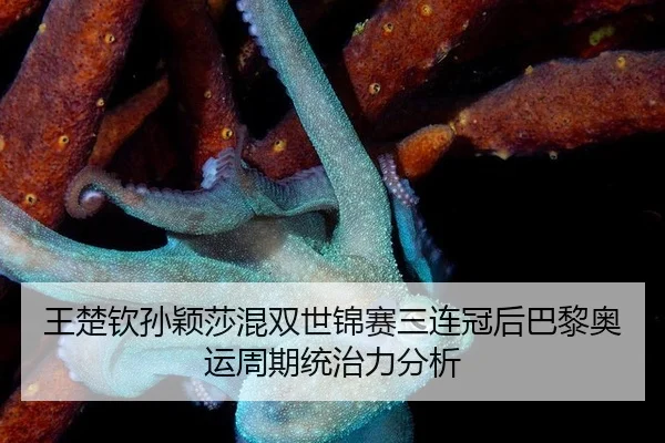wang-chu-qin-sun-ying-sha-hun-shuang-shi-jin-sai-san-lian-guan-hou-ba-li-ao-yun-zhou-qi-tong-zhi-li-fen-xi-3-699.jpg